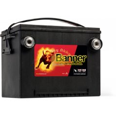 BANNER Starting Bull 12V 60Ah 675A bal+